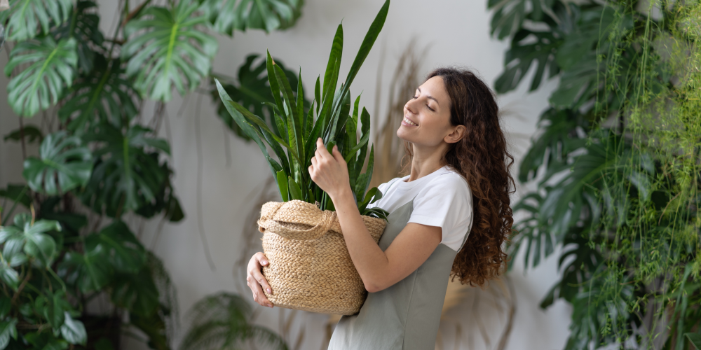 Looking for some new food-free treats?