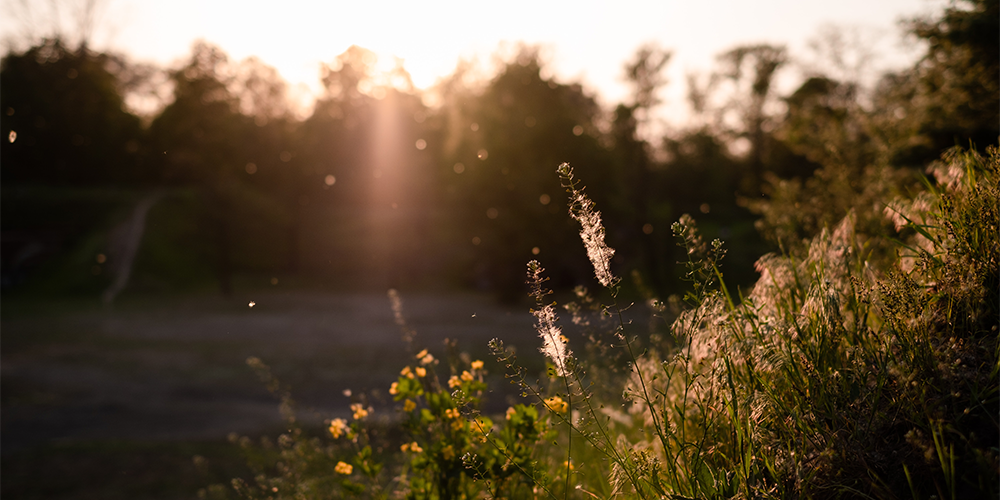 When hay fever strikes, try dual therapy