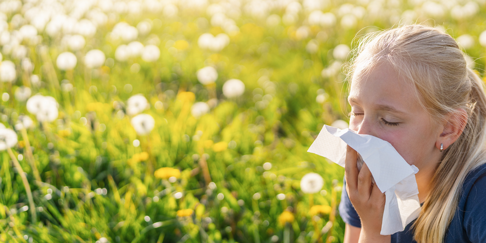 Hayfever in the family?