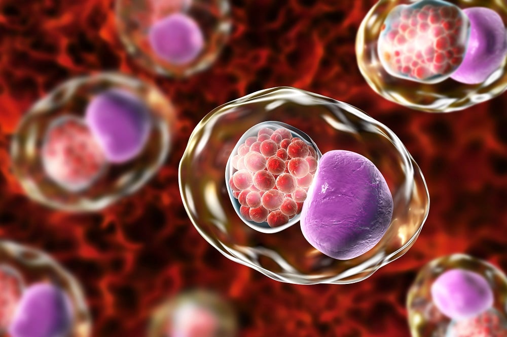 what causes chlamydia