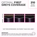 L'Oreal Paris Casting Creme Gloss 210 Noir Bleu 1 each thumbnail 2