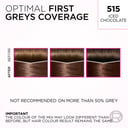 L'Oreal Paris Casting Creme Gloss 515 Chocolate Chestnut 1 each thumbnail 2