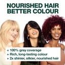 Garnier Nutrisse 7.0 Almond Creme 1 pack thumbnail 3