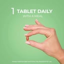 Promensil Menopause Double Strength 60 tablets thumbnail 4