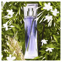 Lancome Hypnose EDP Vapo 30ml thumbnail 2