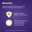 Sambucol Kids Immune Defence Gummies 50 pastilles thumbnail 5