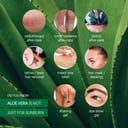 Plunkett's 99% Pure Aloe Vera Cooling Spray 125ml thumbnail 6