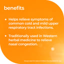 Nature's Way Mega Garlic+C & Horseradish 200 tablets thumbnail 5