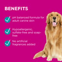 PAW 2 In 1 Conditioning Shampoo 500ml thumbnail 5
