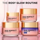 L'Oreal Paris Age Perfect Golden Age Night White 50ml thumbnail 5