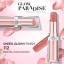 L'Oreal Paris Color Riche Shine Addiction Lipstick 112 Only in Paris 1 each thumbnail 3