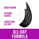Maybelline Falsies Salon Lift Washable Mascara Blackest Black 1 each thumbnail 2