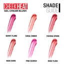 Maybelline Cheek Heat Blush Nude Burn 1 each thumbnail 4