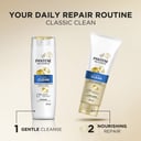 Pantene Classic Clean Shampoo 375ml thumbnail 9