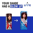 Schwarzkopf Live Colour Rich Burgundy 75ml thumbnail 12