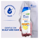 Head & Shoulders 2 In 1 Oil Control 350ml thumbnail 3