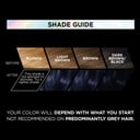 L'Oreal Paris Preference Vivids Blue Black 1.102 - 1 each thumbnail 6