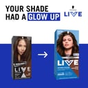 Schwarzkopf Live Colour Perm 4.45 Rich Chocolate 200g thumbnail 8