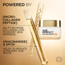 L'Oreal Paris Age Perfect Classic SPF15 Day Cream 50ml thumbnail 5