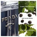 Prada L'Homme EDT Spray 100ml thumbnail 4