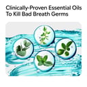 Listerine Zero Mouthwash 750ml thumbnail 4