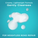 Ogx Bond Protein Repair Shampoo 385ml thumbnail 7