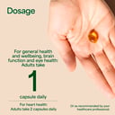 Nature's Own Concentrated Omega Mini 250 soft gel capsules thumbnail 4