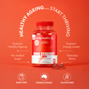 Living Healthy Gummies Nmn Synergy Plus 60 pastilles thumbnail 4