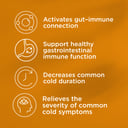 Blackmores Gut Immune Biotic 60 tablets thumbnail 9