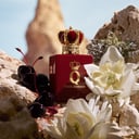 Dolce & Gabbana Q Elixir Spray 50ml thumbnail 3