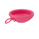 Hello Period Disc Bubblegum One Size 1 each thumbnail 3