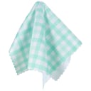 Wicked Sista Eyewear Case Mint Gingham 2 piece thumbnail 3