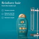 OGX Progrowth + Peptide Conditioner 385ml thumbnail 3
