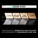 L'Oreal Paris Preference Vivids Silver Grey 10.112 - 1 each thumbnail 6