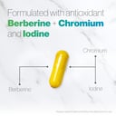FBX Platinum Berberine+ 30 capsules thumbnail 6