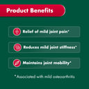 Nature's Own Glucosamine Sulfate with Chondroitin 320 tablets thumbnail 4
