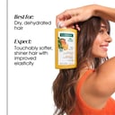 Klorane Nourishing Shampoo with Mango Butter 400ml thumbnail 5