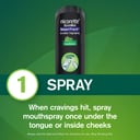 Nicorette Quick Mist Smart Track Duo 2 pack thumbnail 6