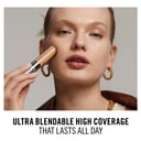 Rimmel Multi Tasker Concealer 060 Light Honey 1 each thumbnail 4