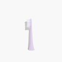 Gem Electric Toothbrush Replacement Heads Rose 2 pack thumbnail 2