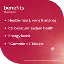 Nature's Way Platinum Strength Adult Vita Gummies Heart, Veins & Arteries 30 pastilles thumbnail 2