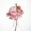 Issey Miyake L’Eau d’Issey Pivoine EDTI Spray 50ml thumbnail 3