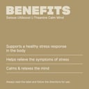 Swisse Ultiboost L-Theanine Calm Mind 50 caplets thumbnail 4