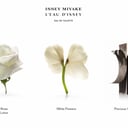 Issey Miyake L'Eau d'Issey EDT Spray 100ml thumbnail 2