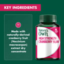 Nature's Own Cranberry 50,000mg - 90 capsules thumbnail 9