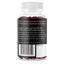 Isowhey Vitamin B Complexgummies 60 pastilles thumbnail 3