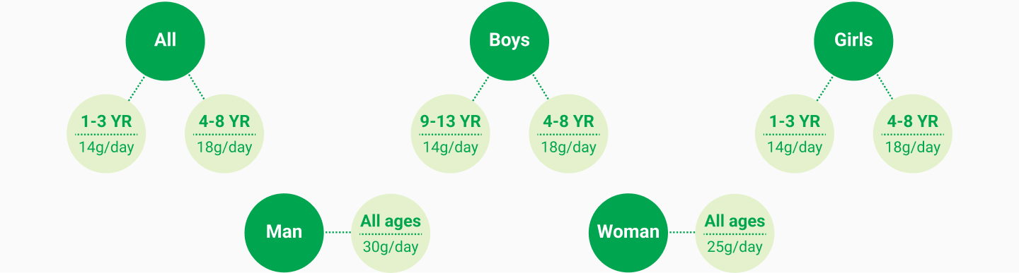 Fibre intake graph