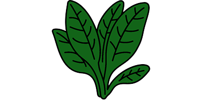 Spinach