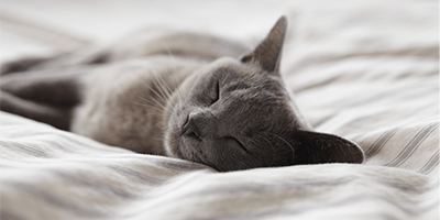 Avoid naps to get better sleep