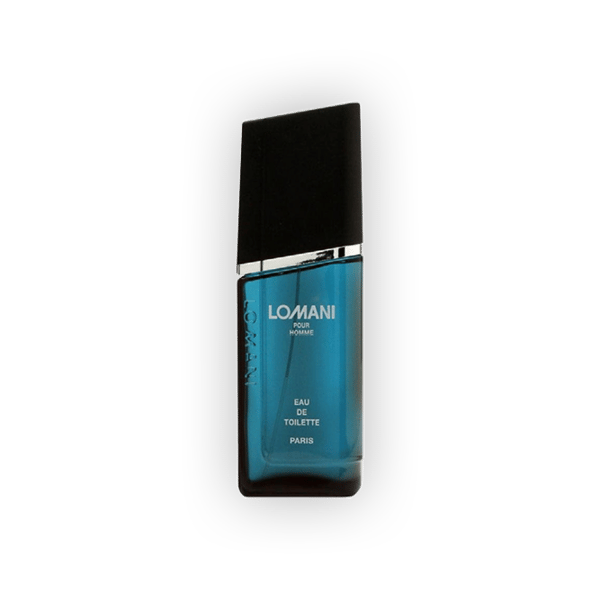 Lomani Pour Homme EDT Spray 100ml